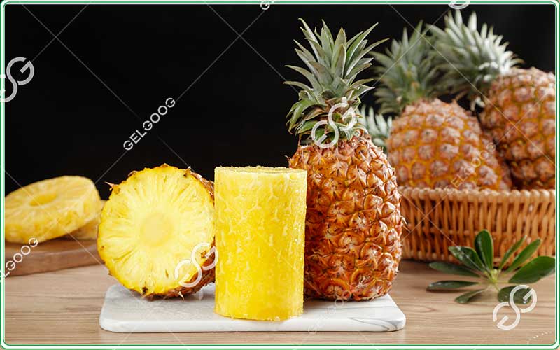 industrial pineapple processing equipment
