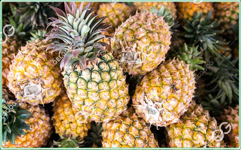 pineapple processing line