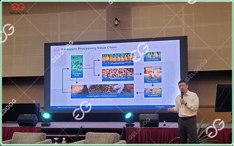pineapple processing solutions