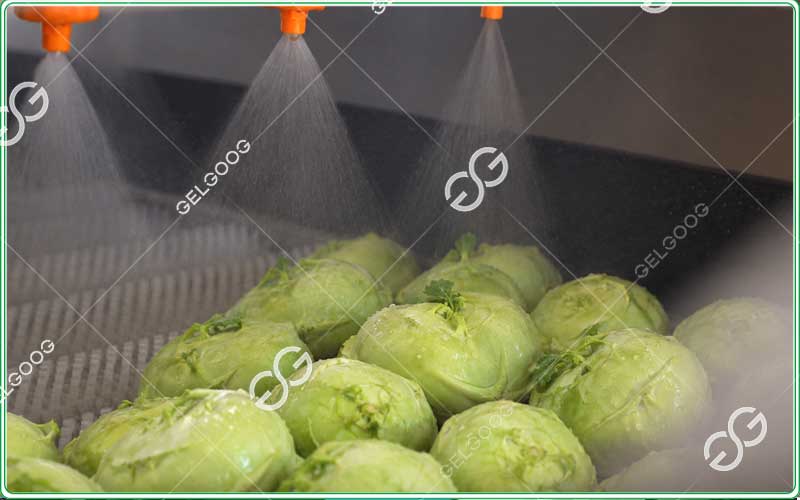 lavadora industrial de kohlrabi