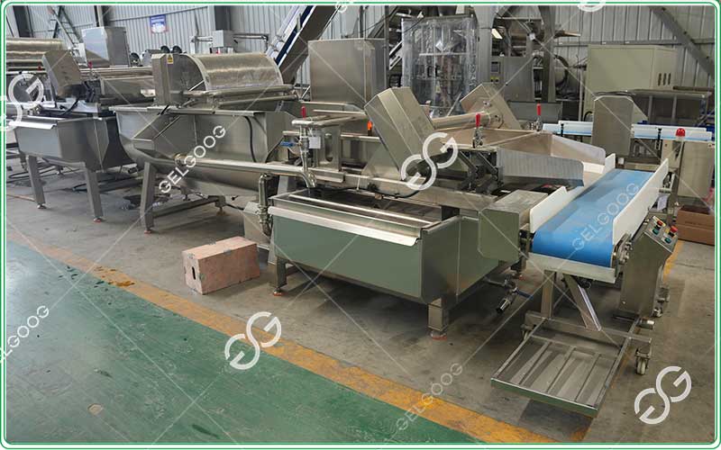 industrial lettuce washing machine