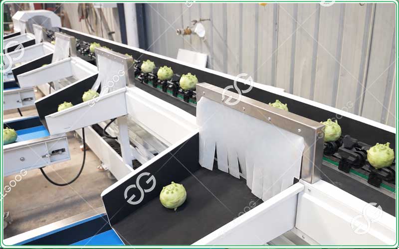 Máquina de clasificación de colilá