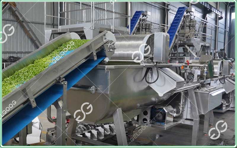 leafy vegetable washing line